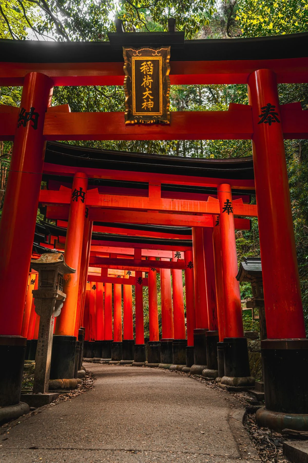 A winding stone path beneath vermilion torii gates in Kyoto's sunlit forest